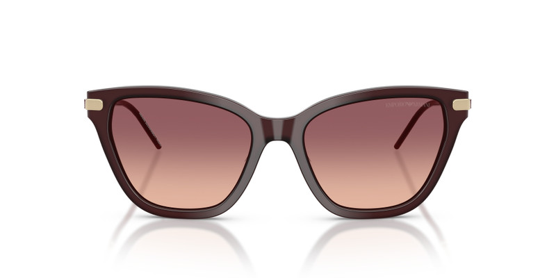 EMPORIO ARMANI EA4251 outlook