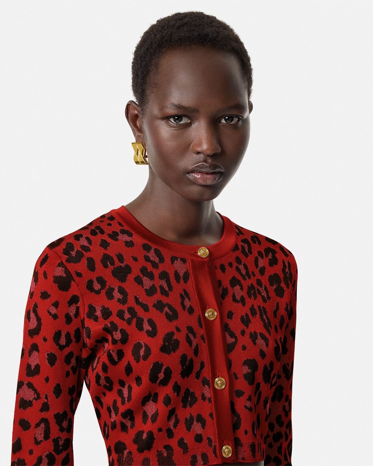 Leopard Lurex Crop Knit Cardigan - 3
