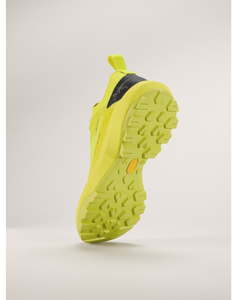 Vertex Alpine GTX Shoe 4