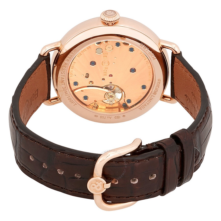Bell And Ross - Bell and Ross Brown Dial Men's Hand Wound Limited Edition Watch WW1-EDICION - 3