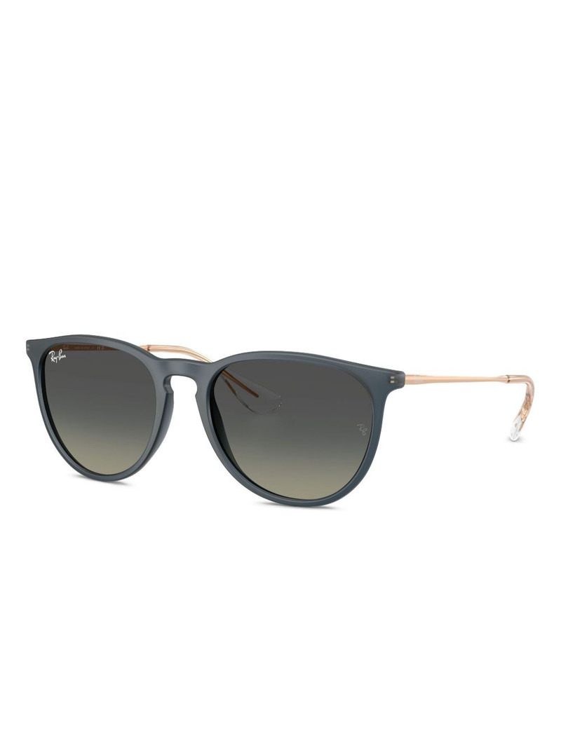 Ray-Ban Erika sunglasses outlook