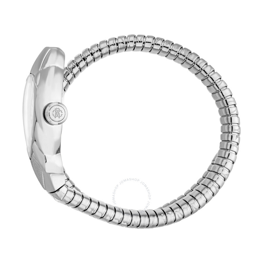 Roberto Cavalli Fiaba Silver-tone Dial Ladies Watch RC5L110M0015 - 3