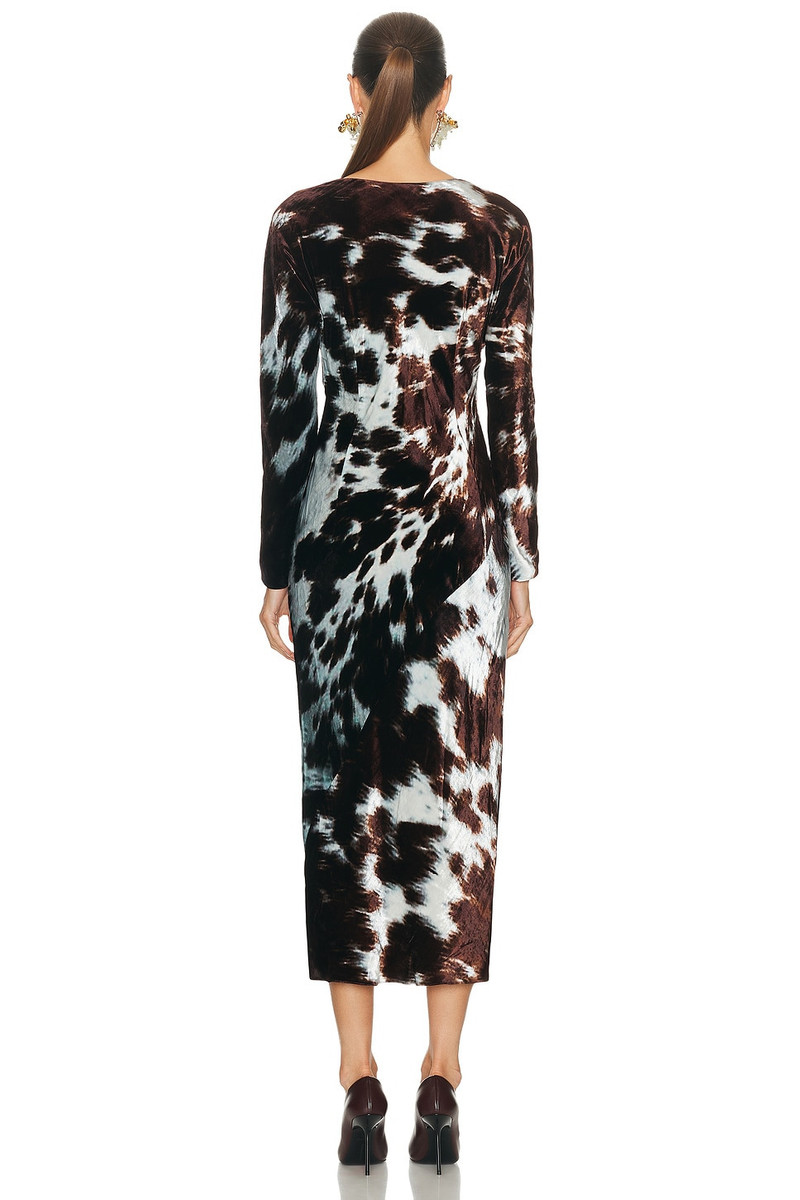 Dries Van Noten Duska Dress outlook
