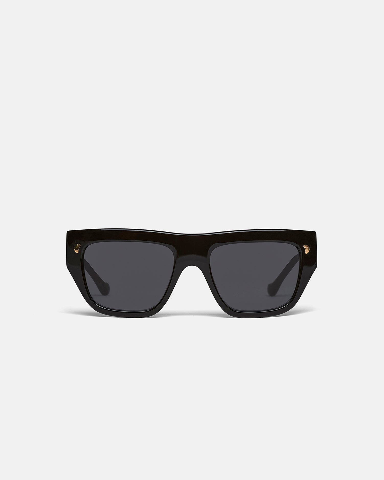 Bio-Plastic D-Frame Sunglasses - 1