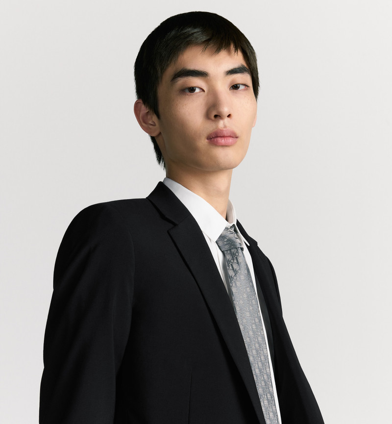 Dior Oblique Revival Tie 3
