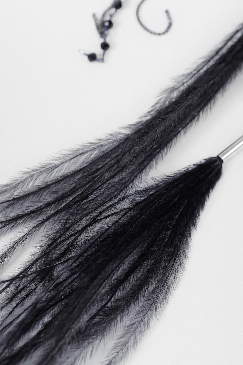 Ann Demeulemeester Goia Earrings with Chains and Feathers outlook