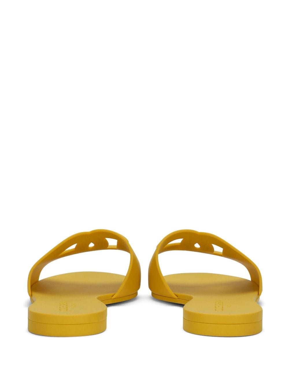 Bianca DG-logo slides - 3