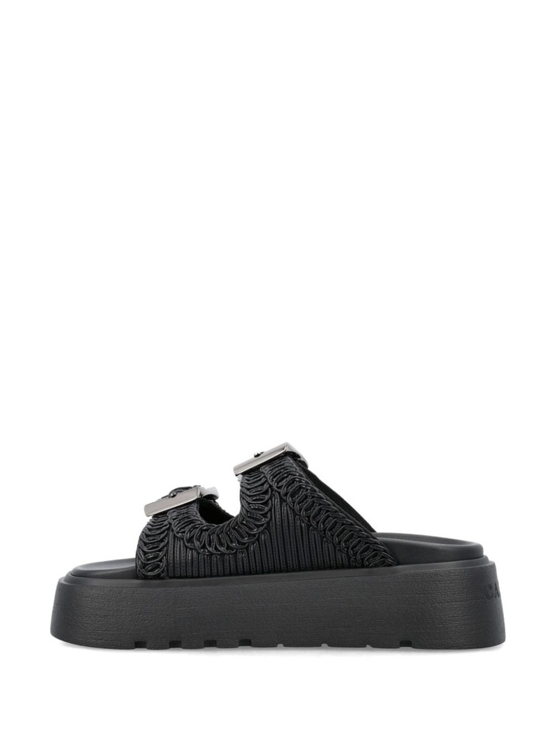 Birky Ale flatform slides 4
