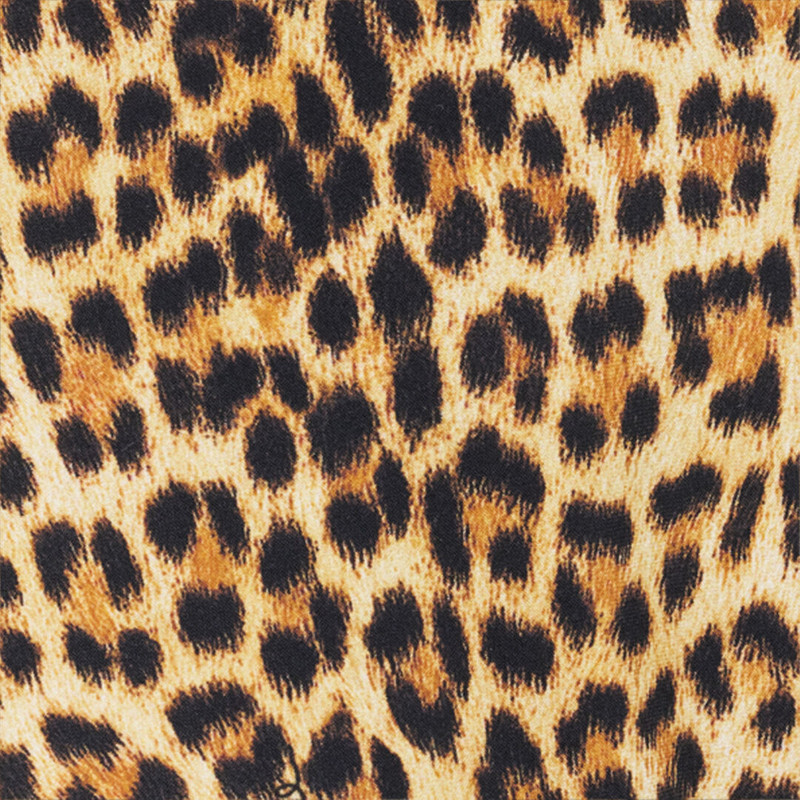 Baby Jaguar Print One-Piece Swimsuit 5