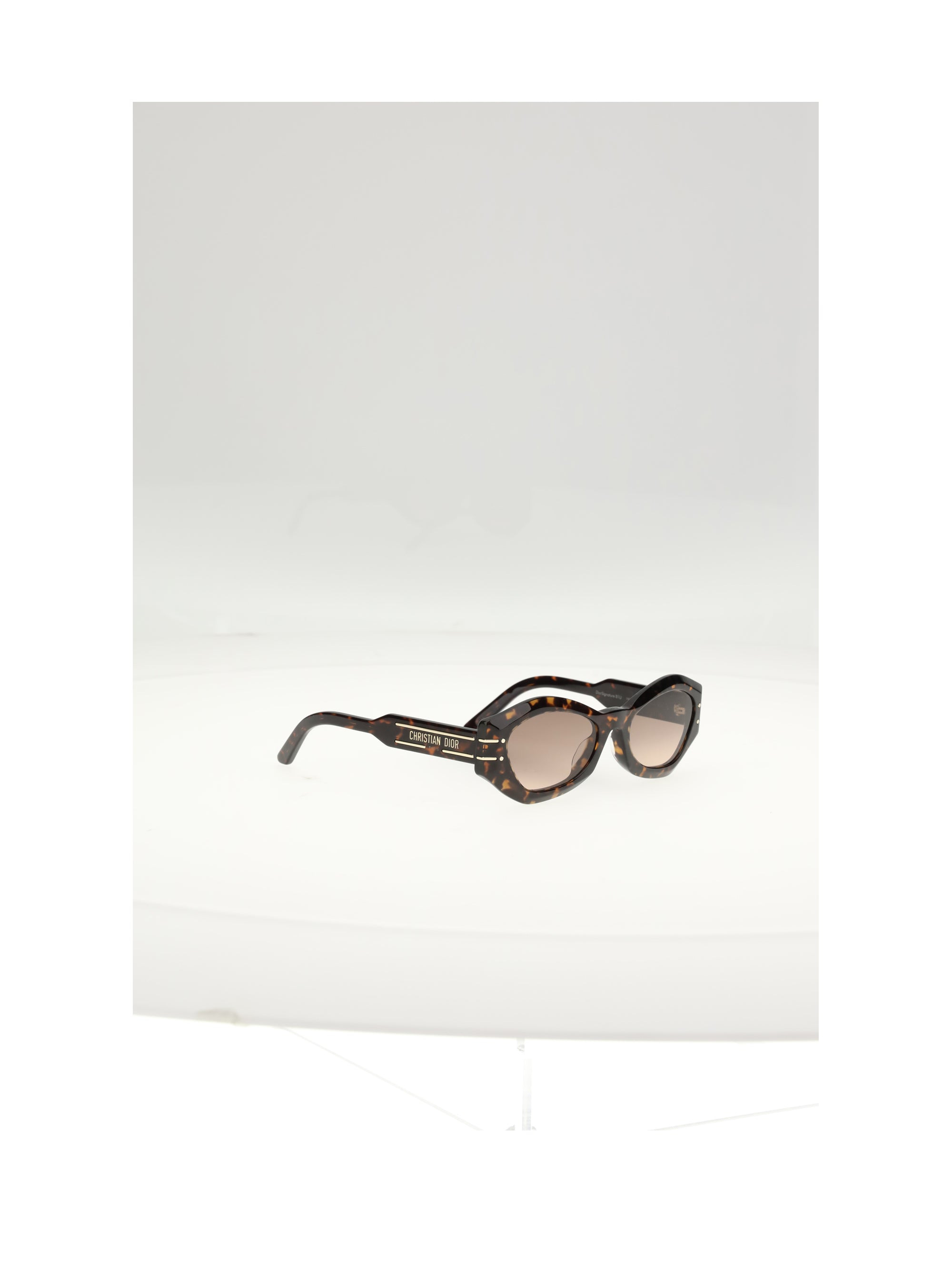 Dior Women Diorsignature B1uxr Sunglasses - 2