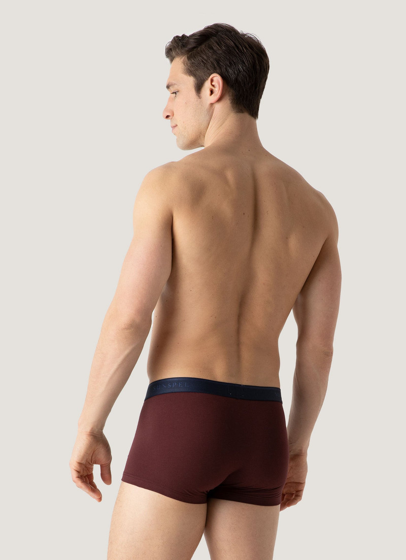 Sunspel Stretch Cotton Trunks outlook