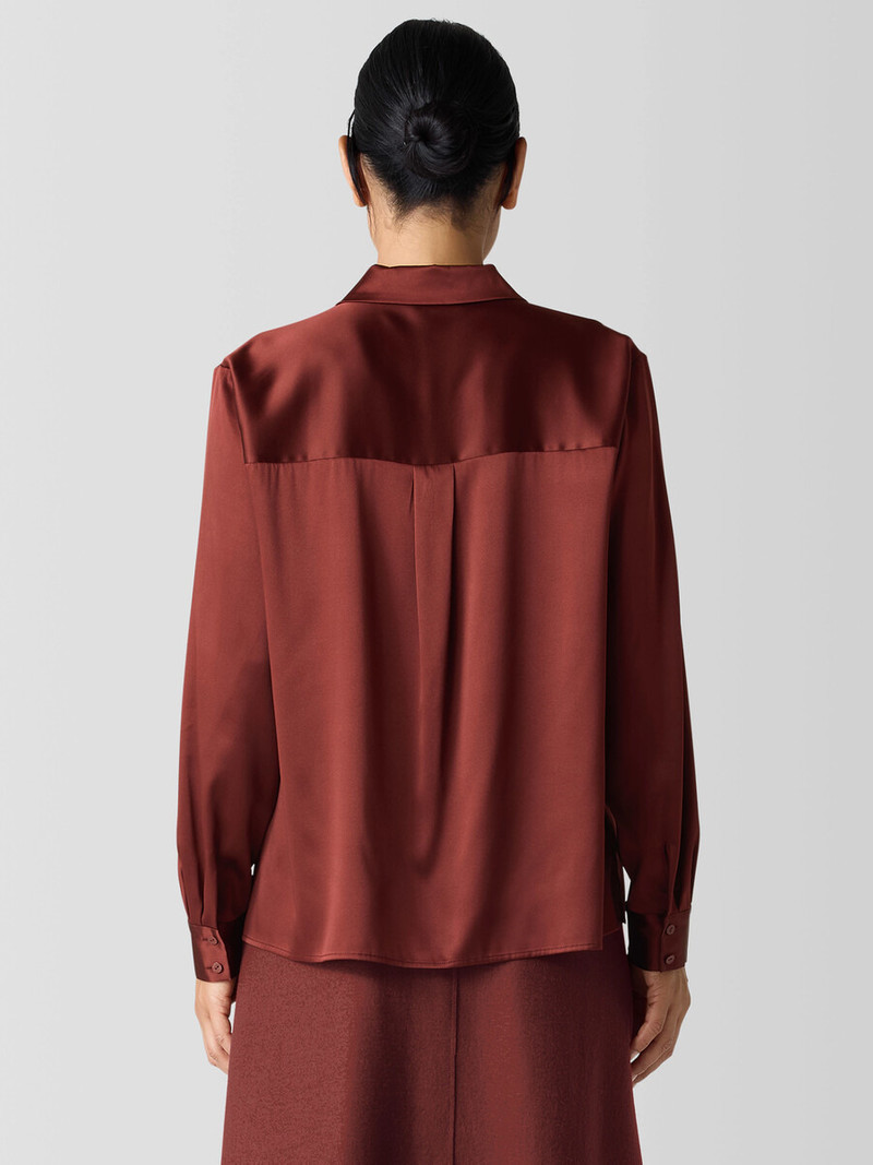 Stretch Silk Charmeuse Classic Collar Shirt 4