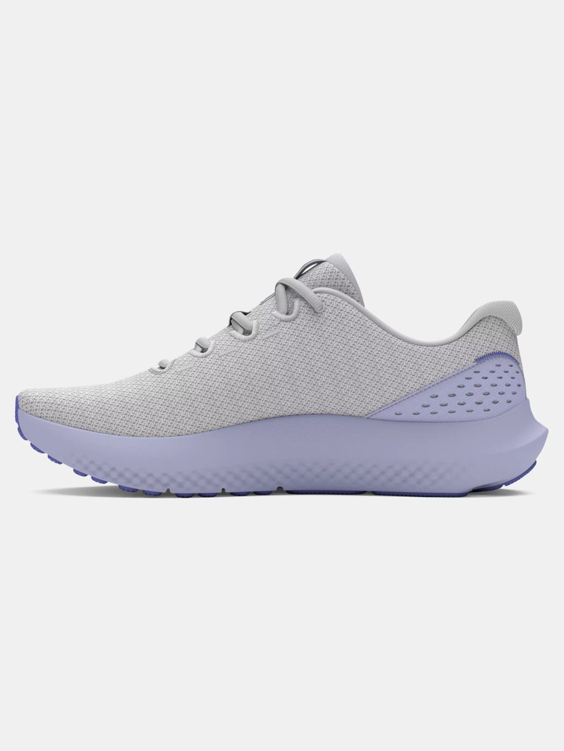 Under Armour Women's UA Surge 4 Running Shoes outlook