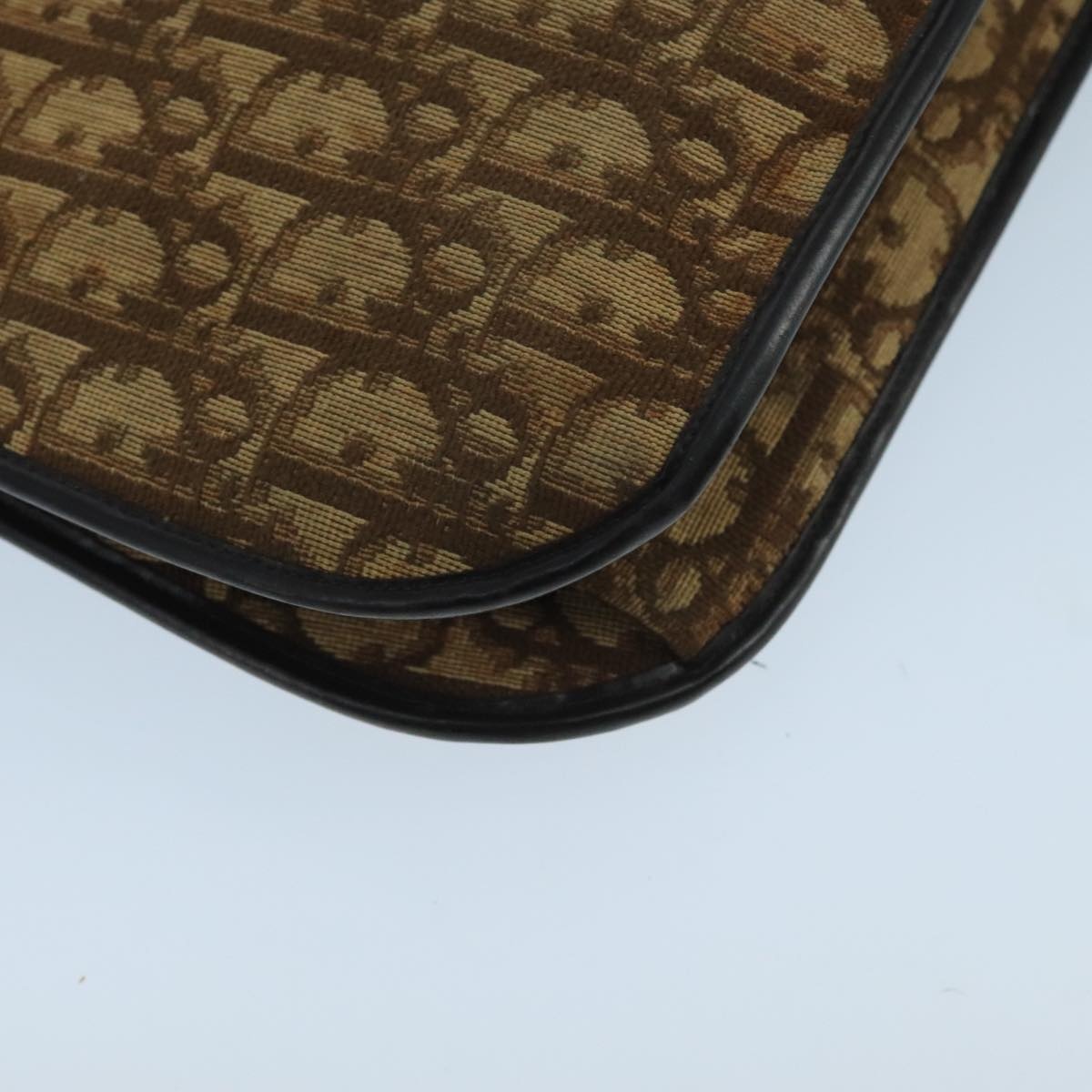 DIOR Trotter Canvas Hand Bag Brown - 16