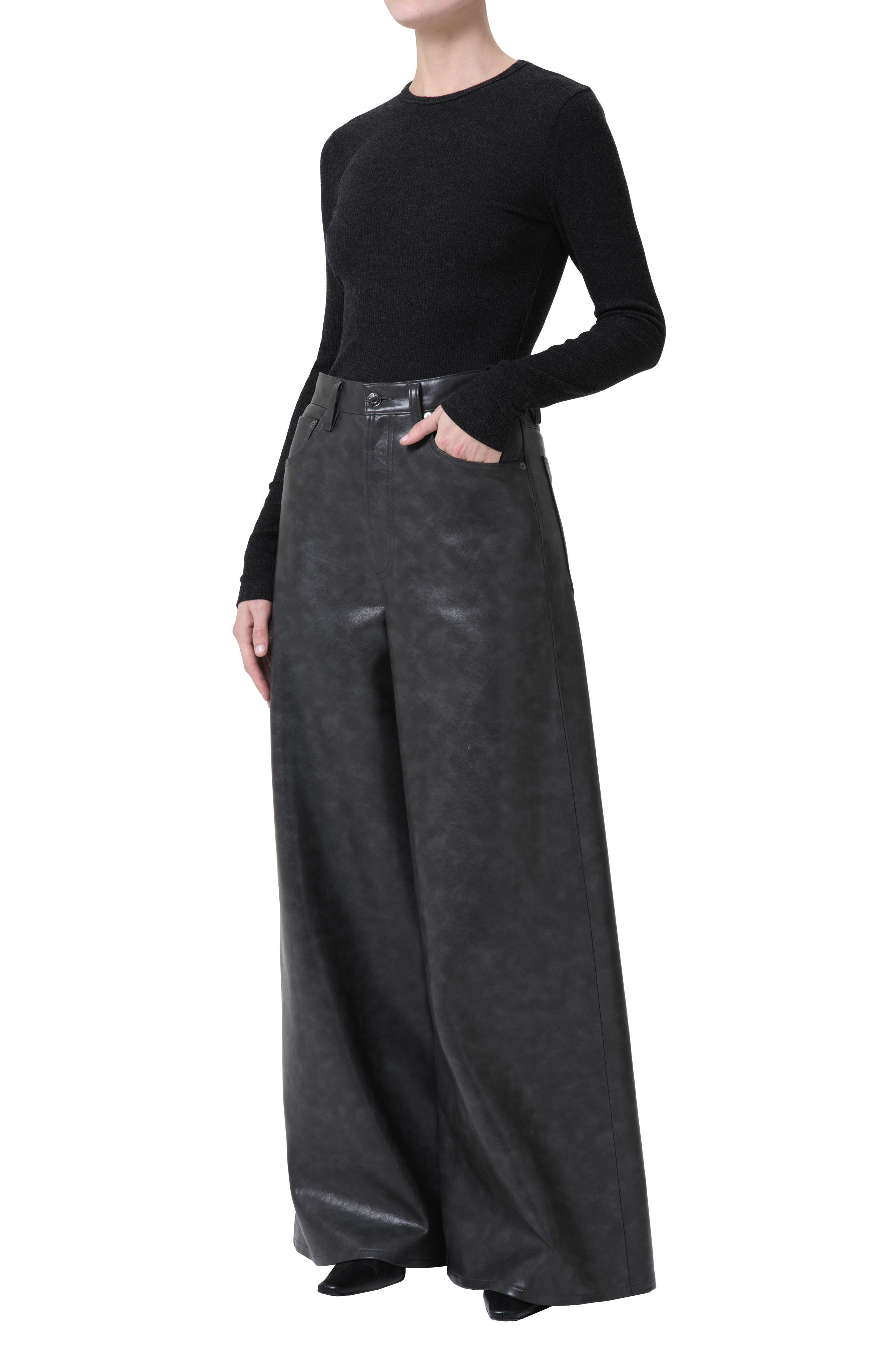 AGOLDE Delphi Slim Fit Ribbed T-Shirt in Katniss at Nordstrom - 5