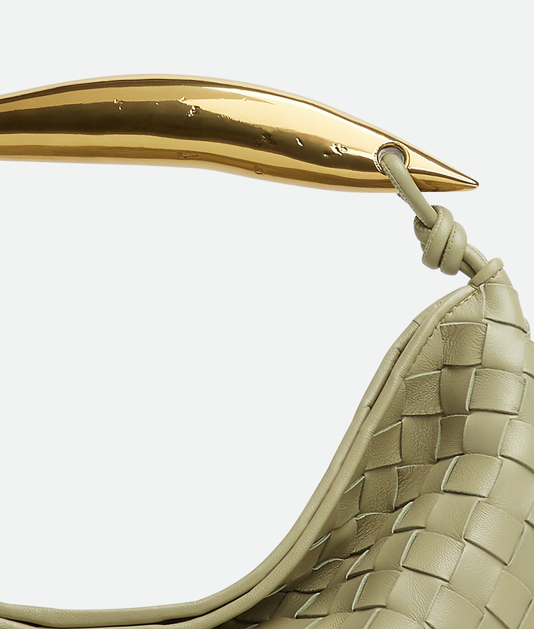 Sardine - 6