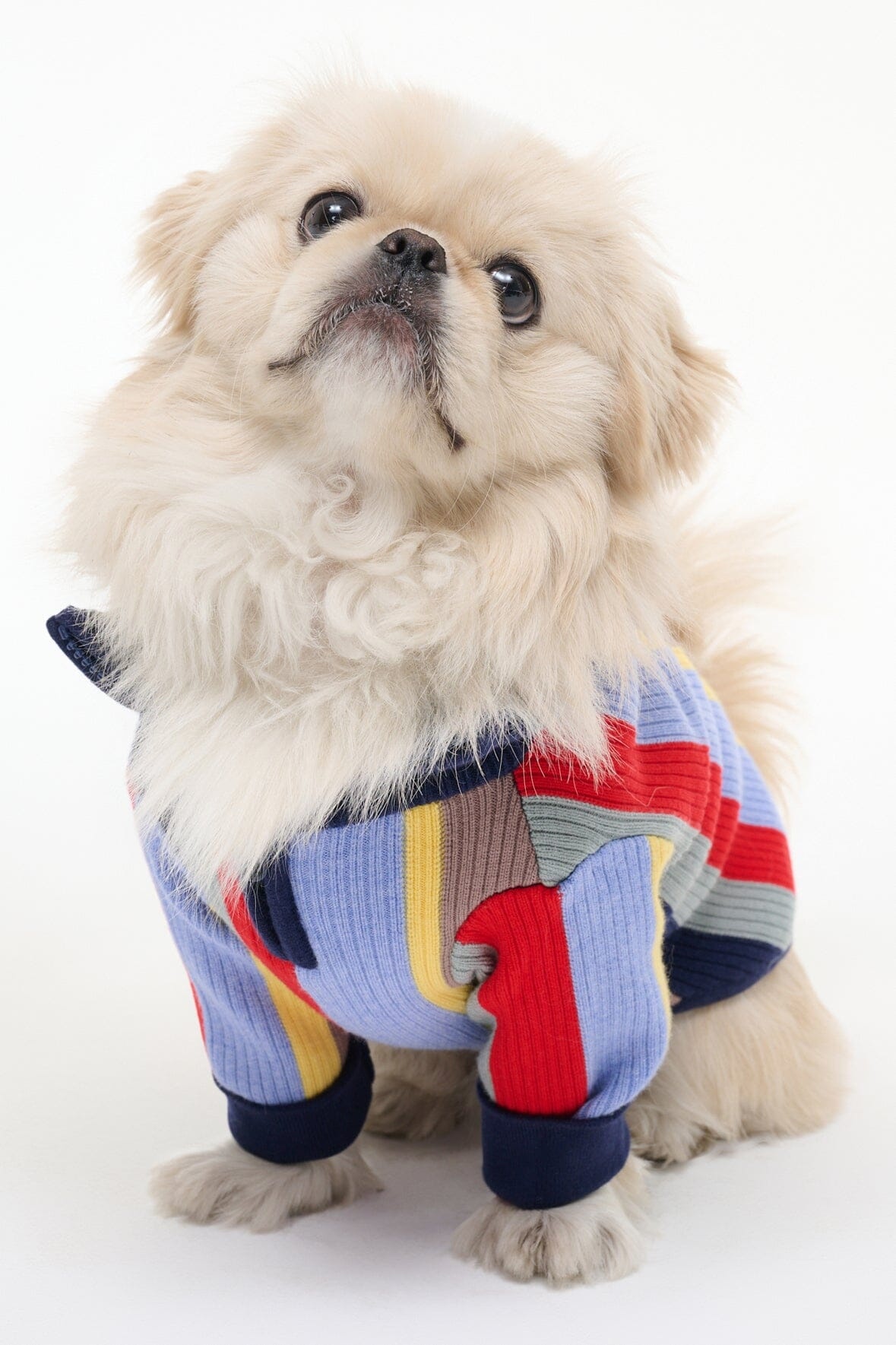 STAUD PET HAMPTON SWEATER MARKET STRIPE - 3