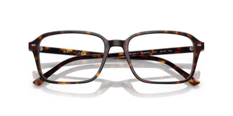 Ray-Ban RAIMOND OPTICS outlook