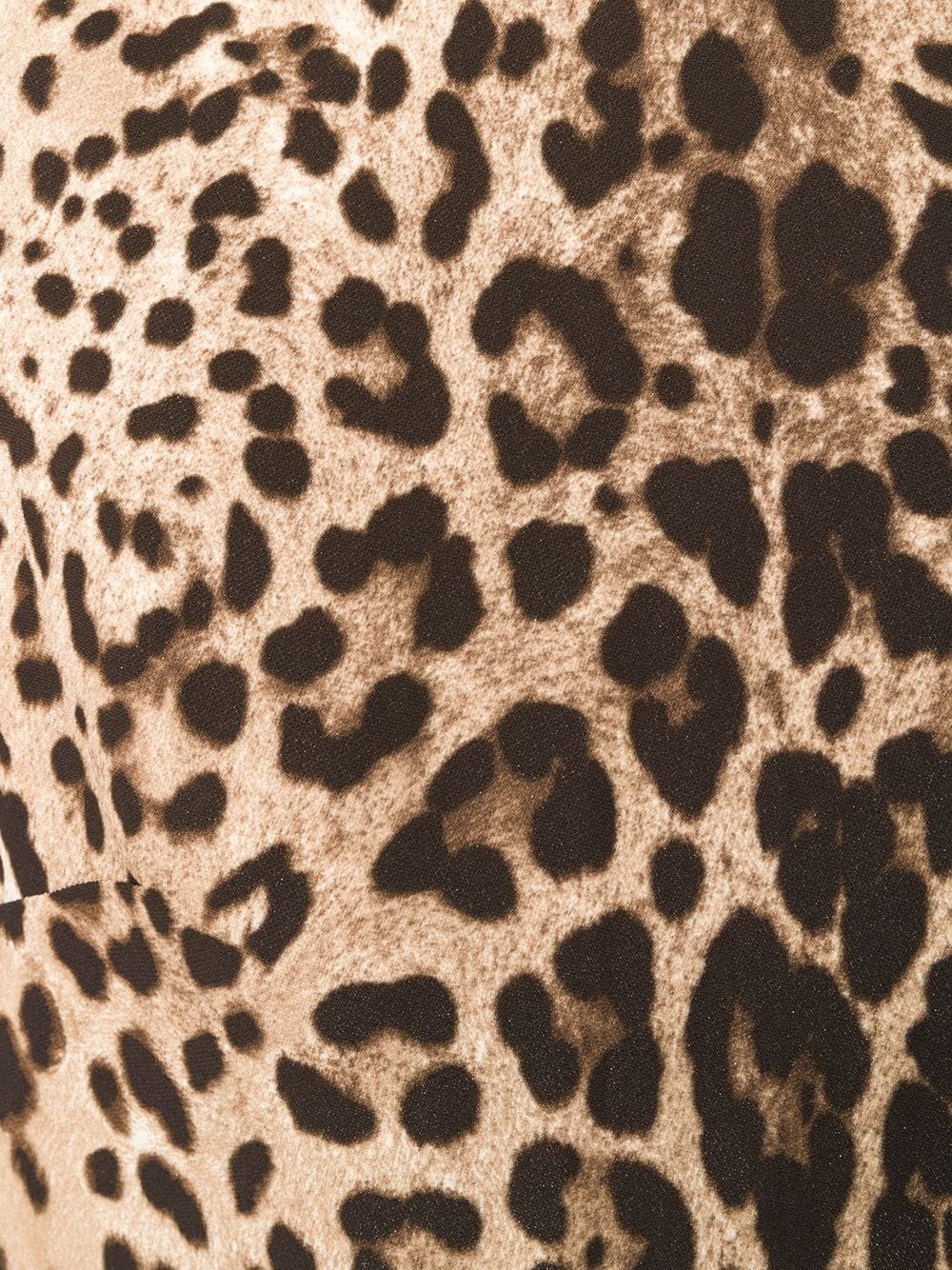 leopard-print top - 5