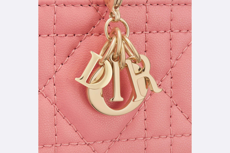 Lady Dior 5-Gusset Card Holder 5