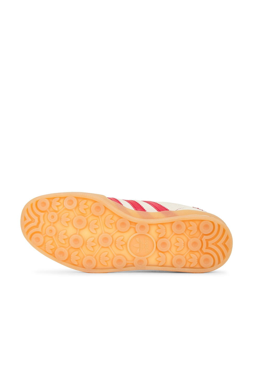 Gazelle Indoor - 6