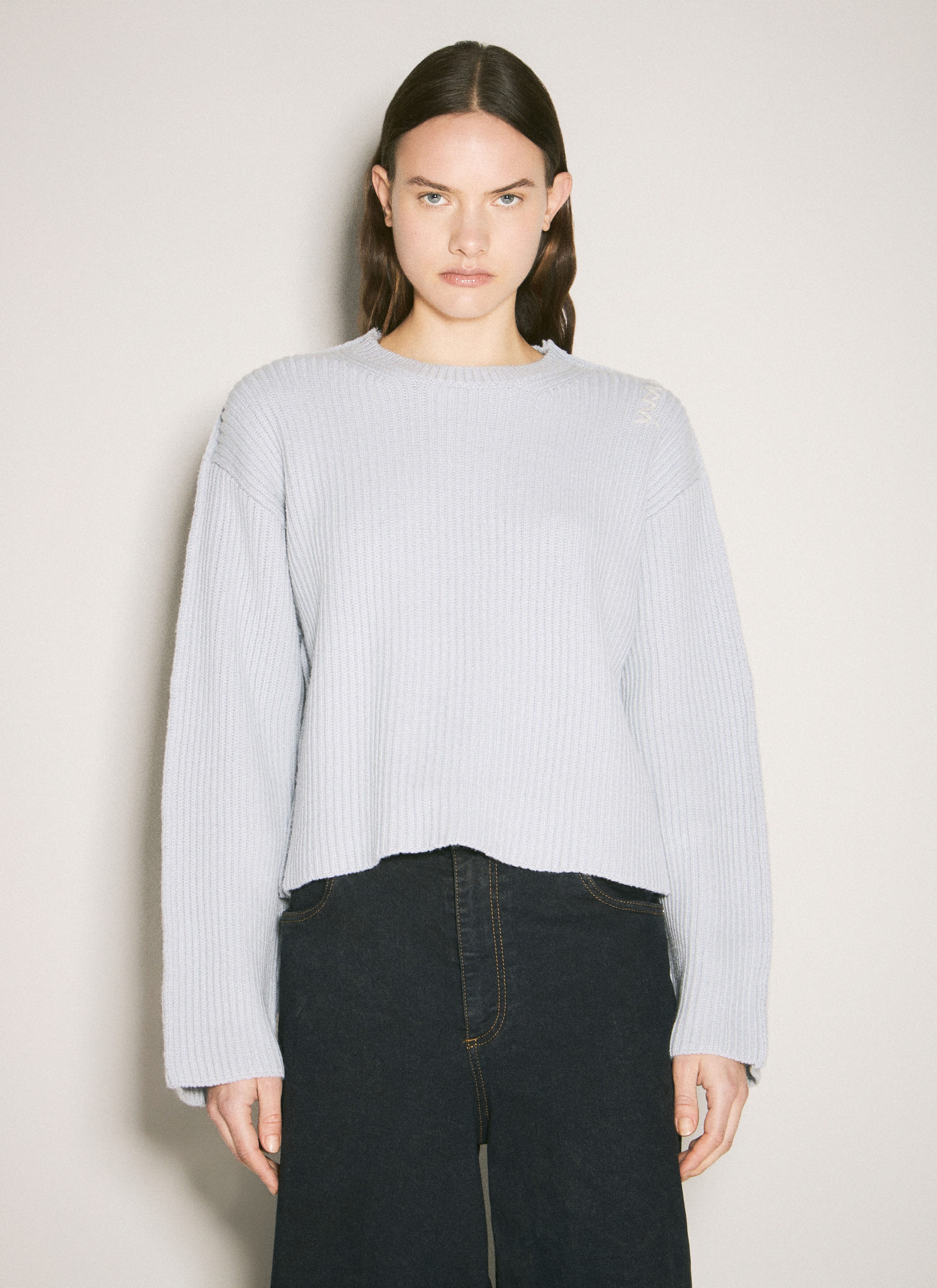 Crewneck Wool Sweater - 1