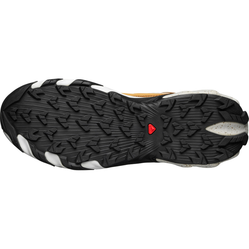 SALOMON SPEEDVERSE PRG outlook