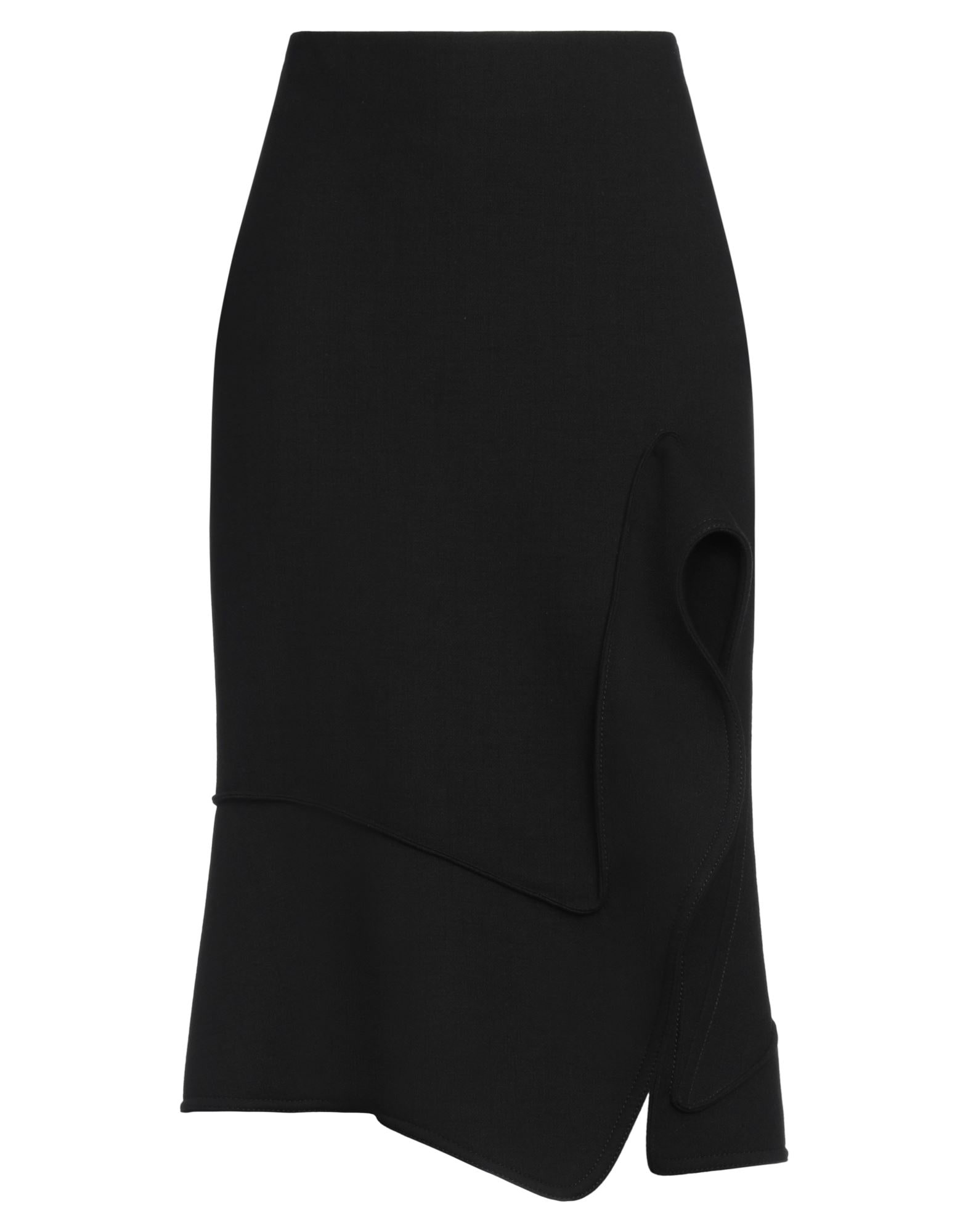 Black Women's Midi Skirt - 1