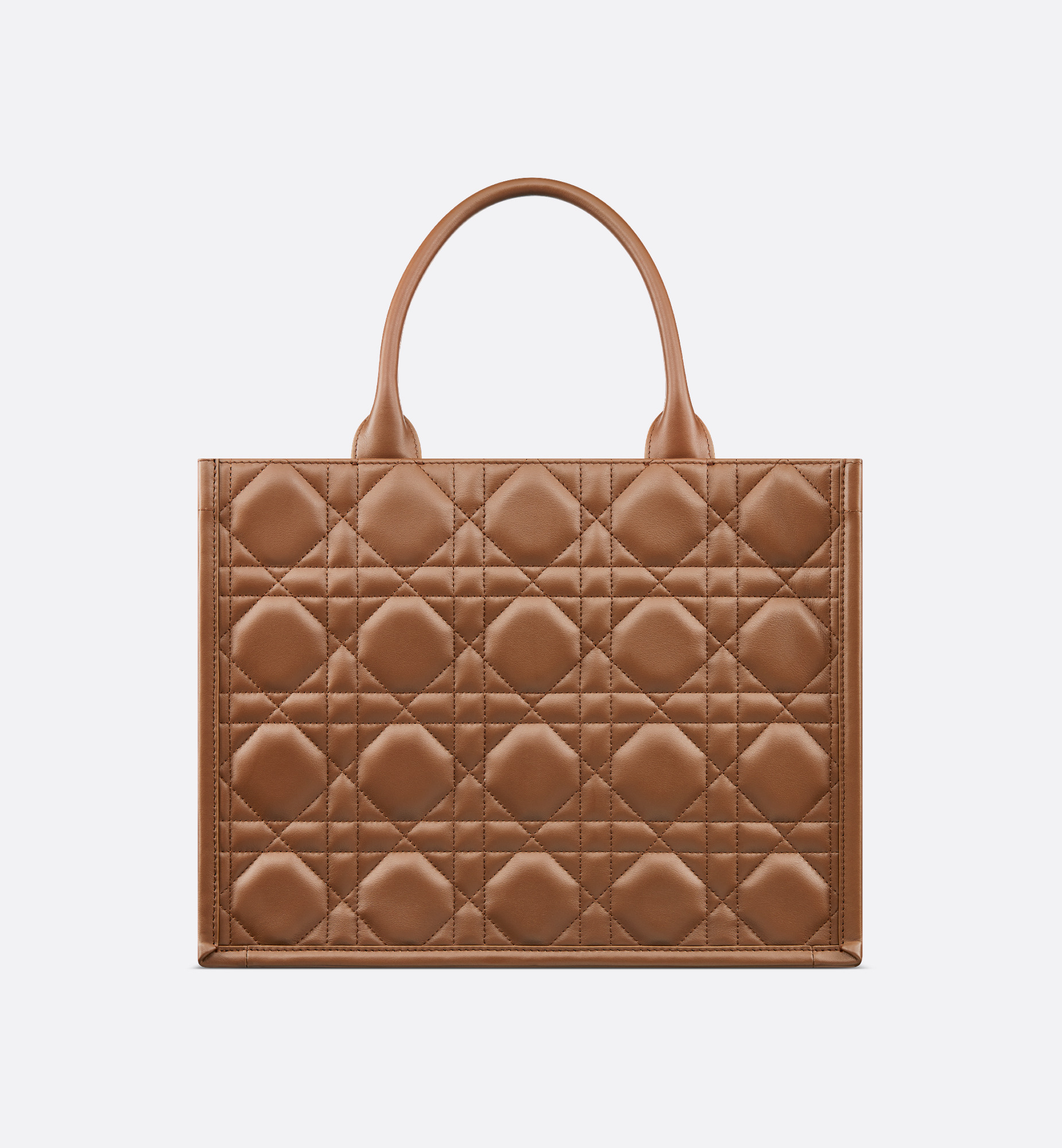 Medium Dior Book Tote - 2