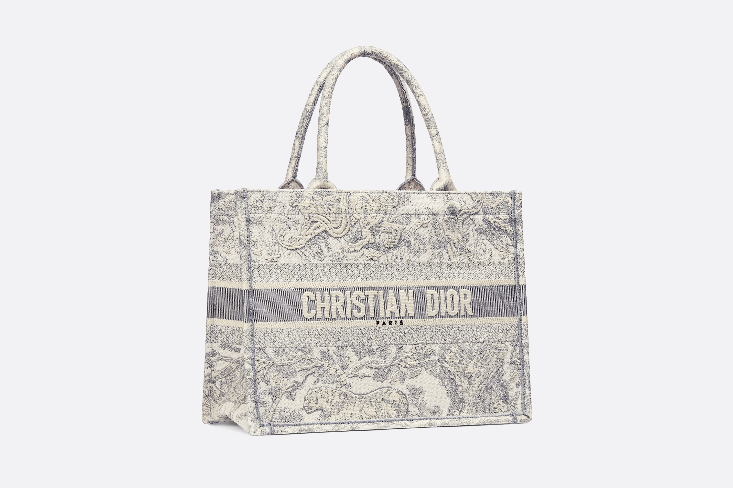 Medium Dior Book Tote - 2