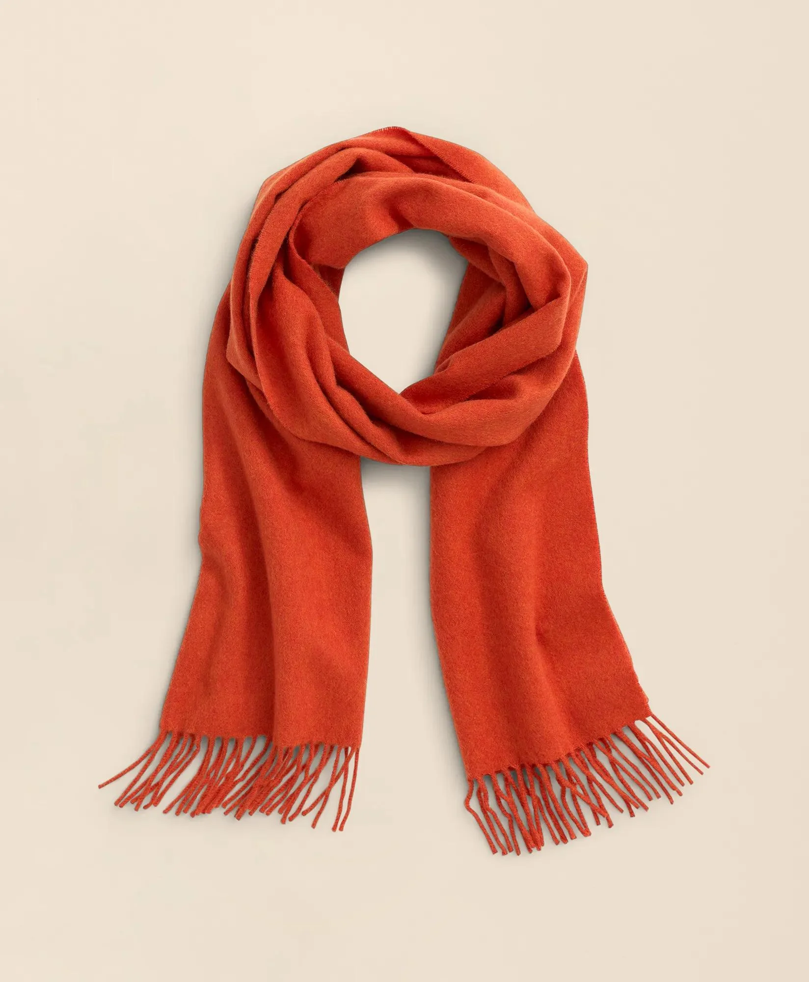Cashmere Fringed Scarf - 1