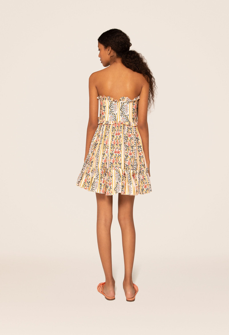 Rosa Lluvia Floral Mini Dress 4