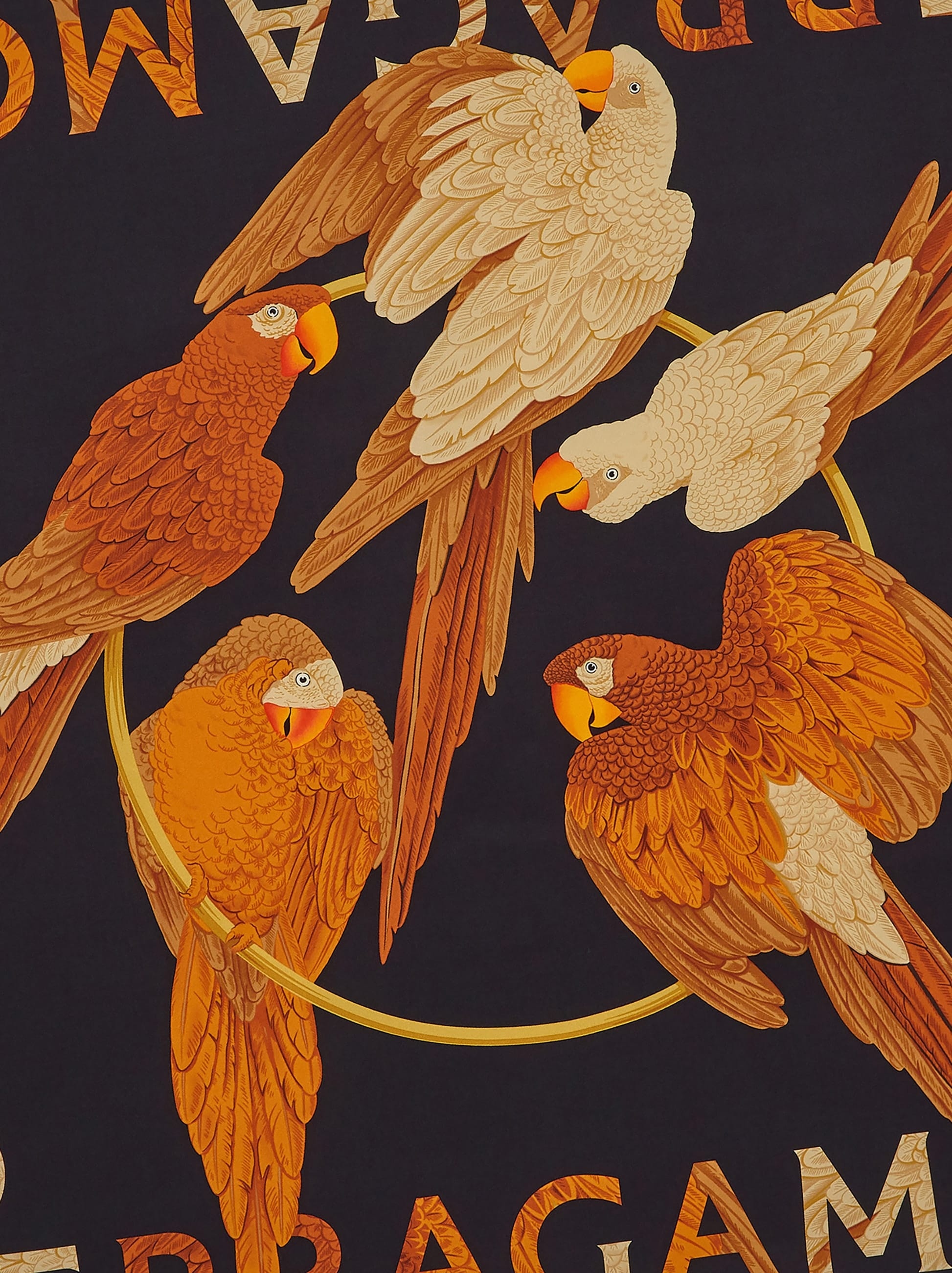 Parrot print silk foulard - 4