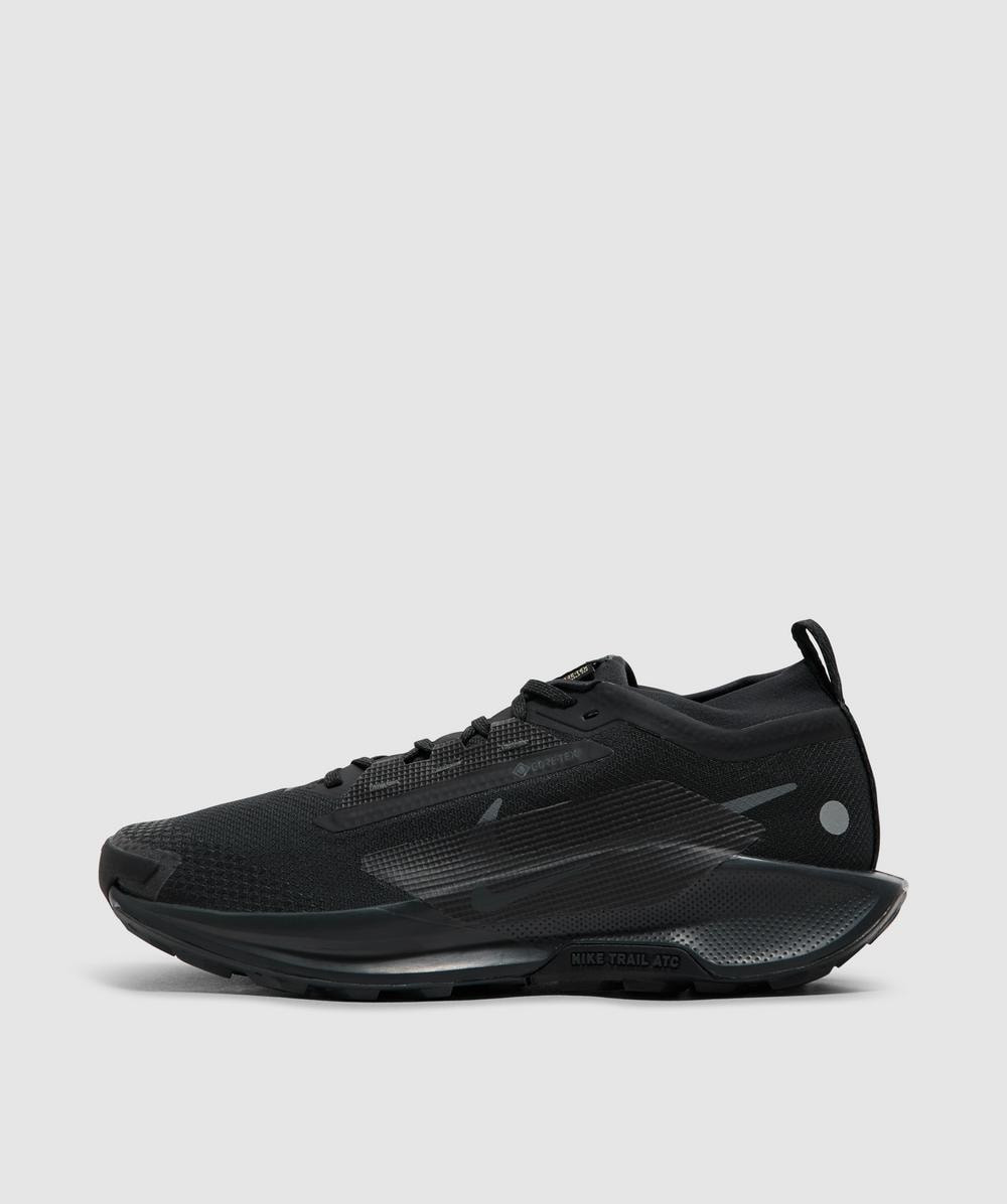 Pegasus trail 5 GORE-TEX sneaker - 1