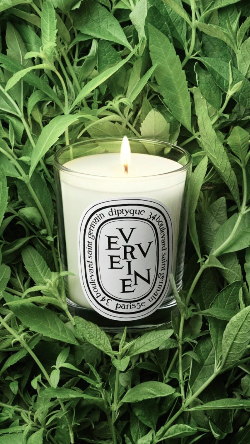 Verveine (Lemon Verbena) - Classic Candle 5