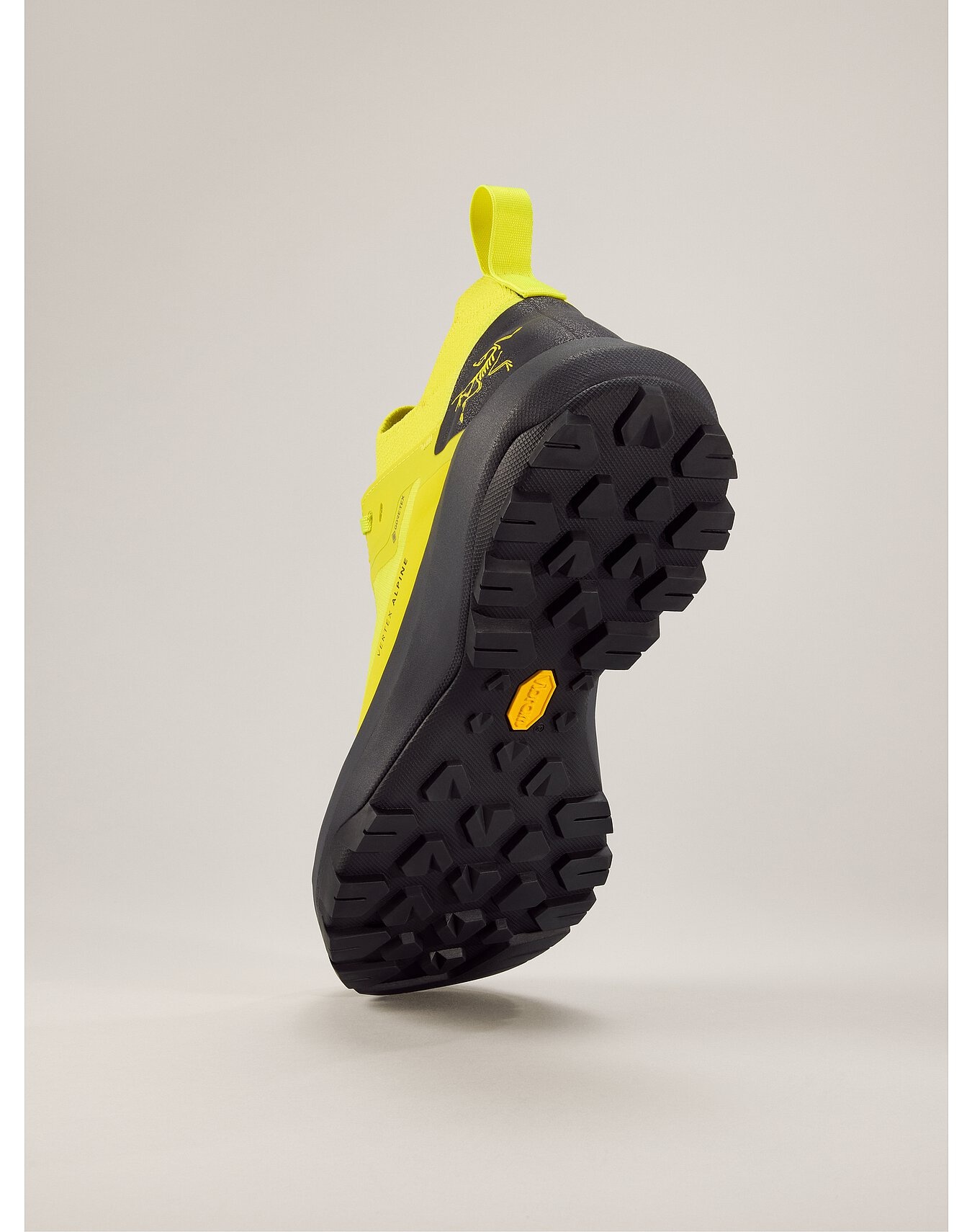 Vertex Alpine GTX Shoe - 4