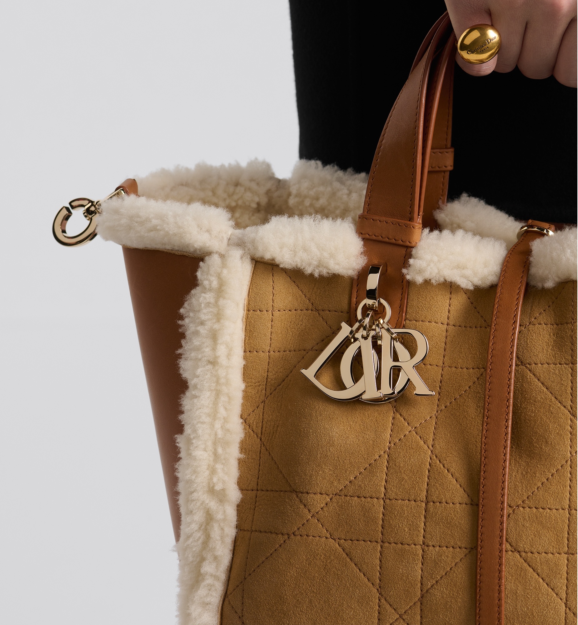 Medium Dior Toujours Bag - 3