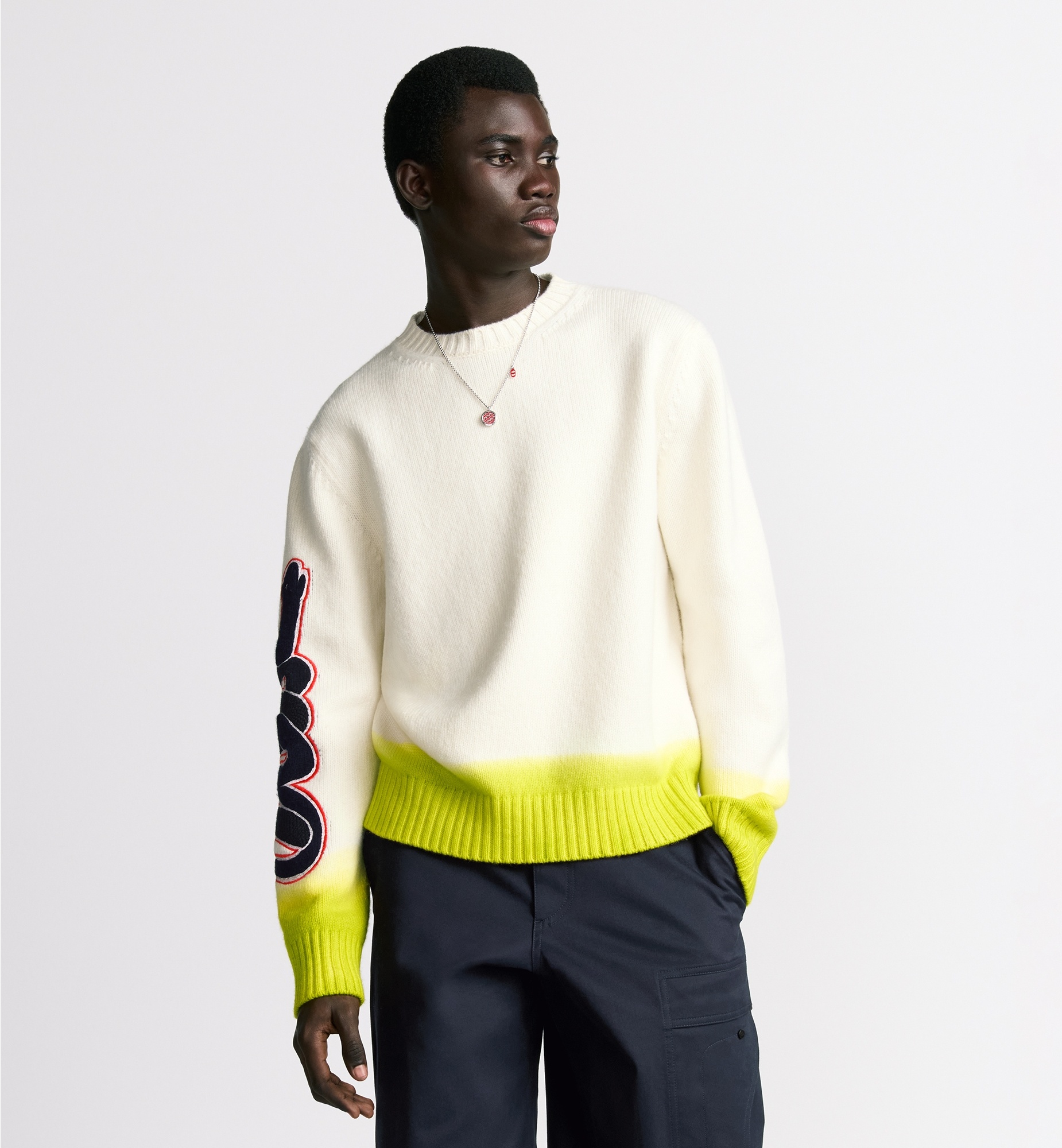 Dior DIOR AND KAWS Sweater - 513M655A2008_C086 | REVERSIBLE