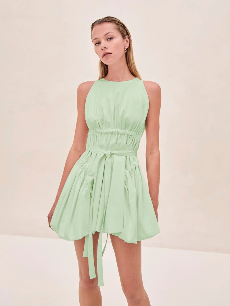 ALEXIS Lidiane Dress outlook