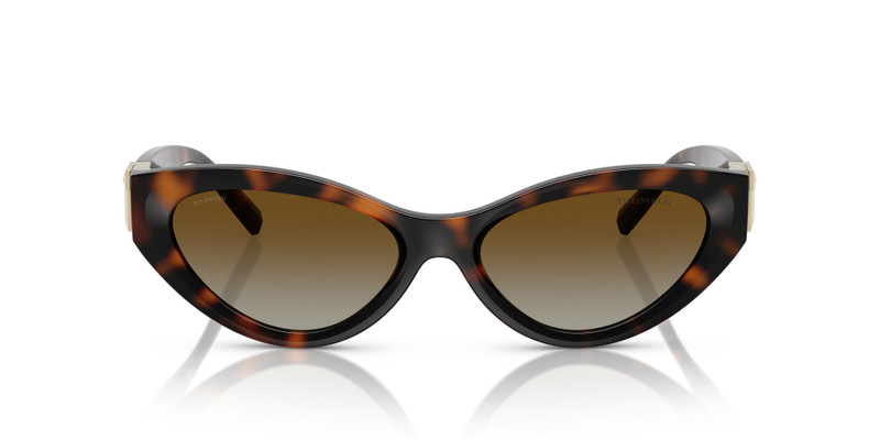 Tiffany & Co. TF4225U outlook