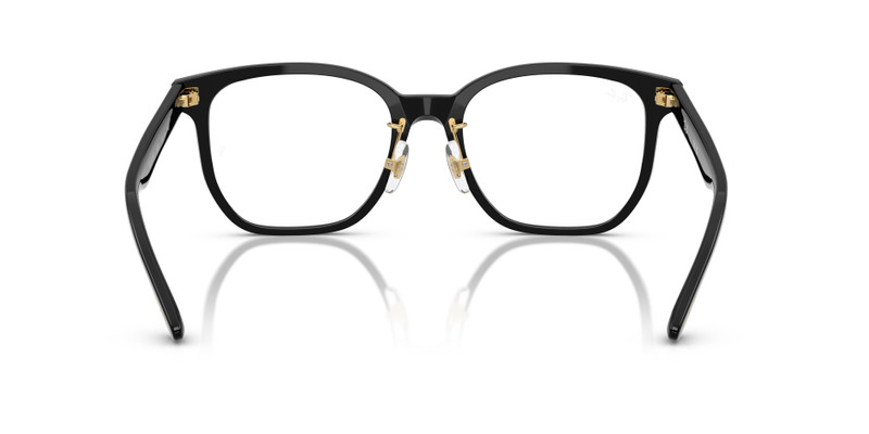 RB5425D OPTICS YEAR OF THE SNAKE EDITION 7
