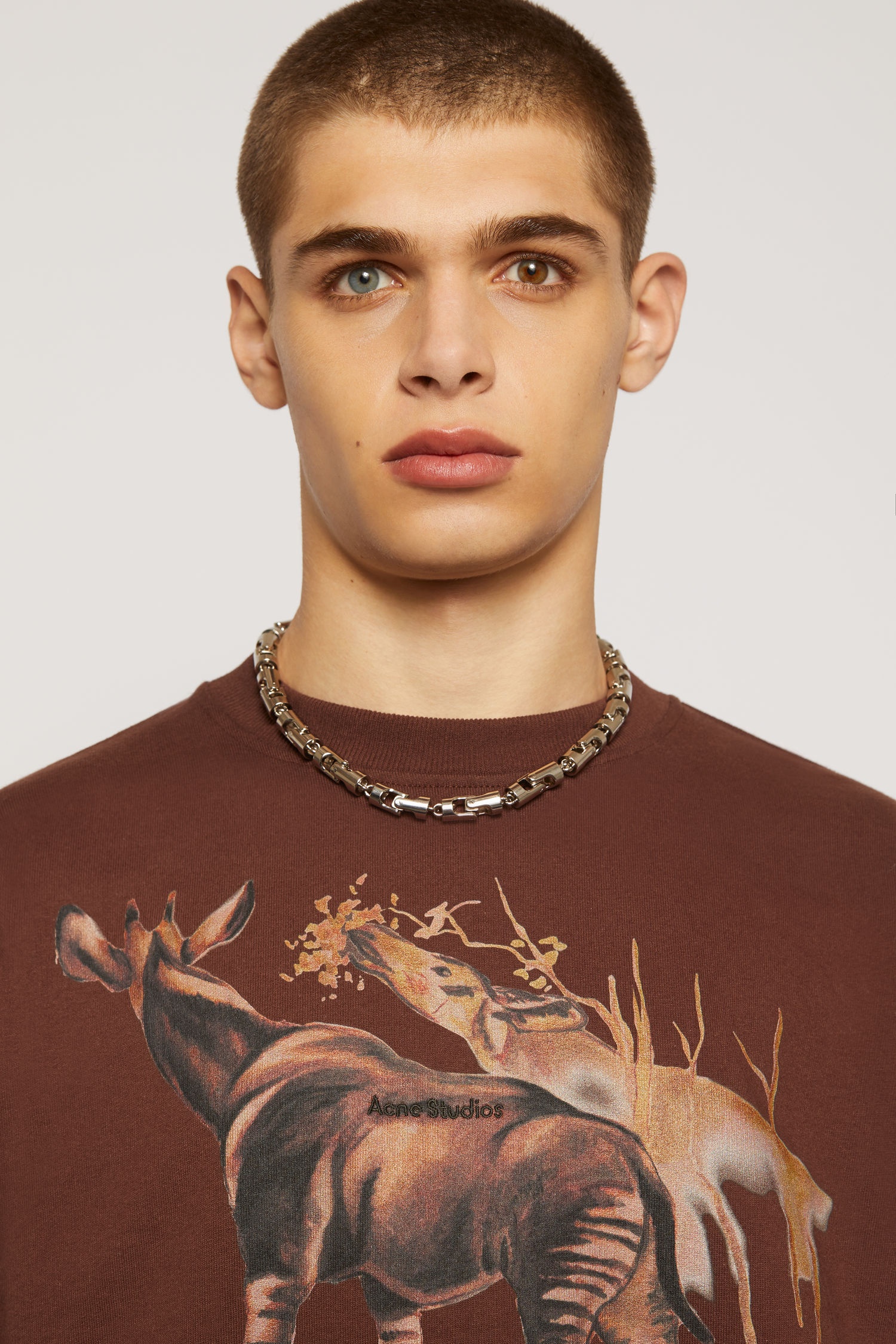 Okapi print t-shirt walnut brown - 6