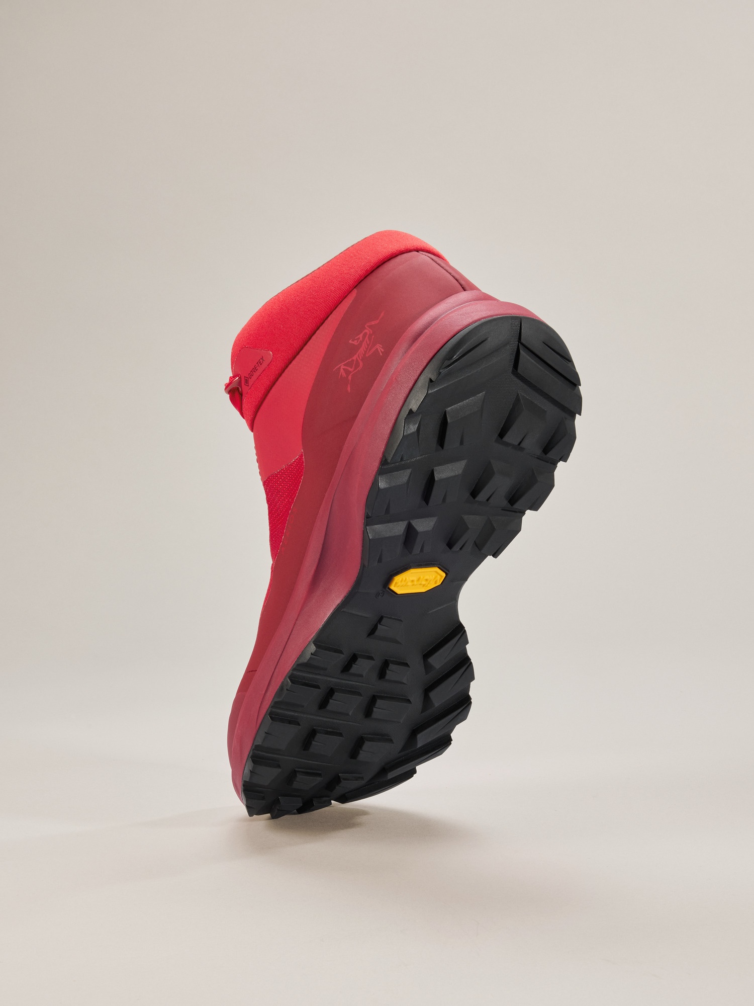 Aerios Mid GTX Shoe - 4