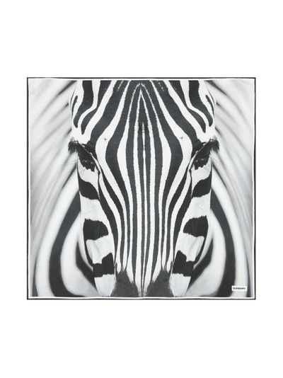 Burberry zebra print scarf outlook