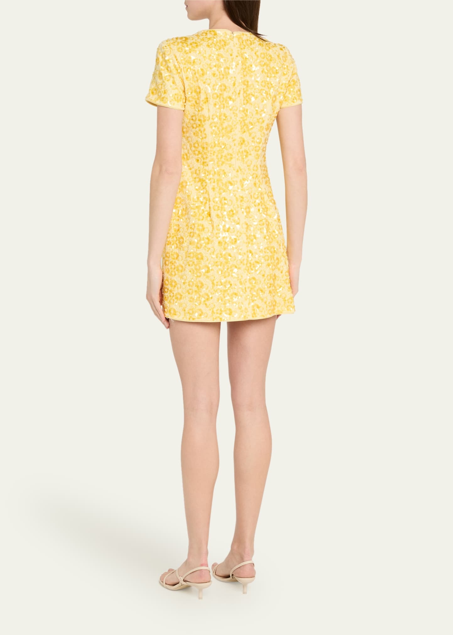 Clove Sequined Short-Sleeve Mini Dress - 3
