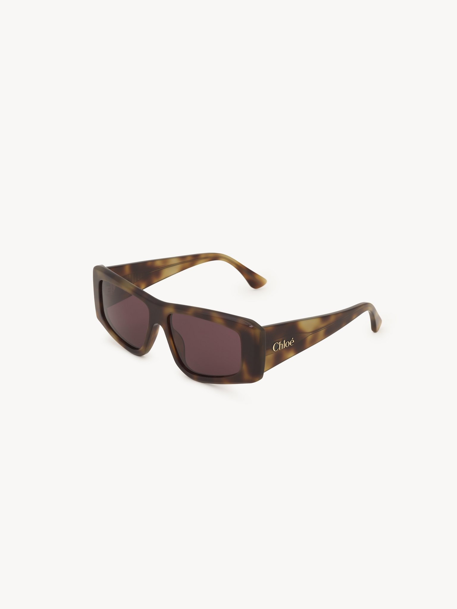 IZIA SUNGLASSES - 2