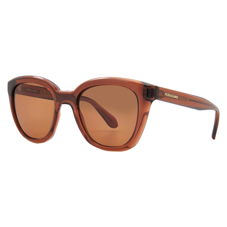 Salvatore Ferragamo Brown Cat Eye Ladies Sunglasses SF2000S 232 52 - 2