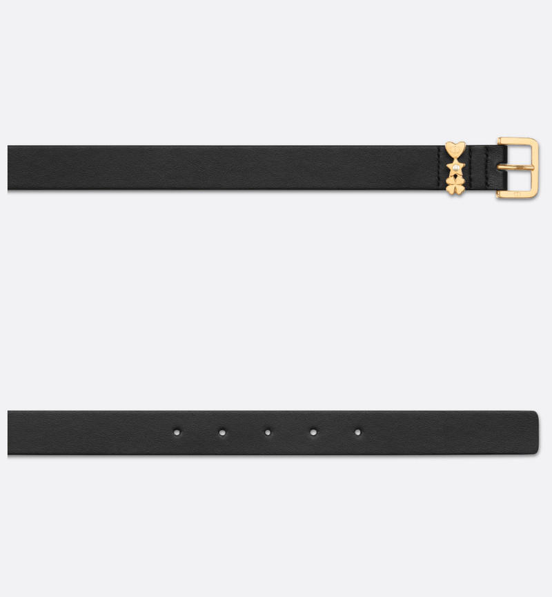 Lucky Dior Loop Belt 3