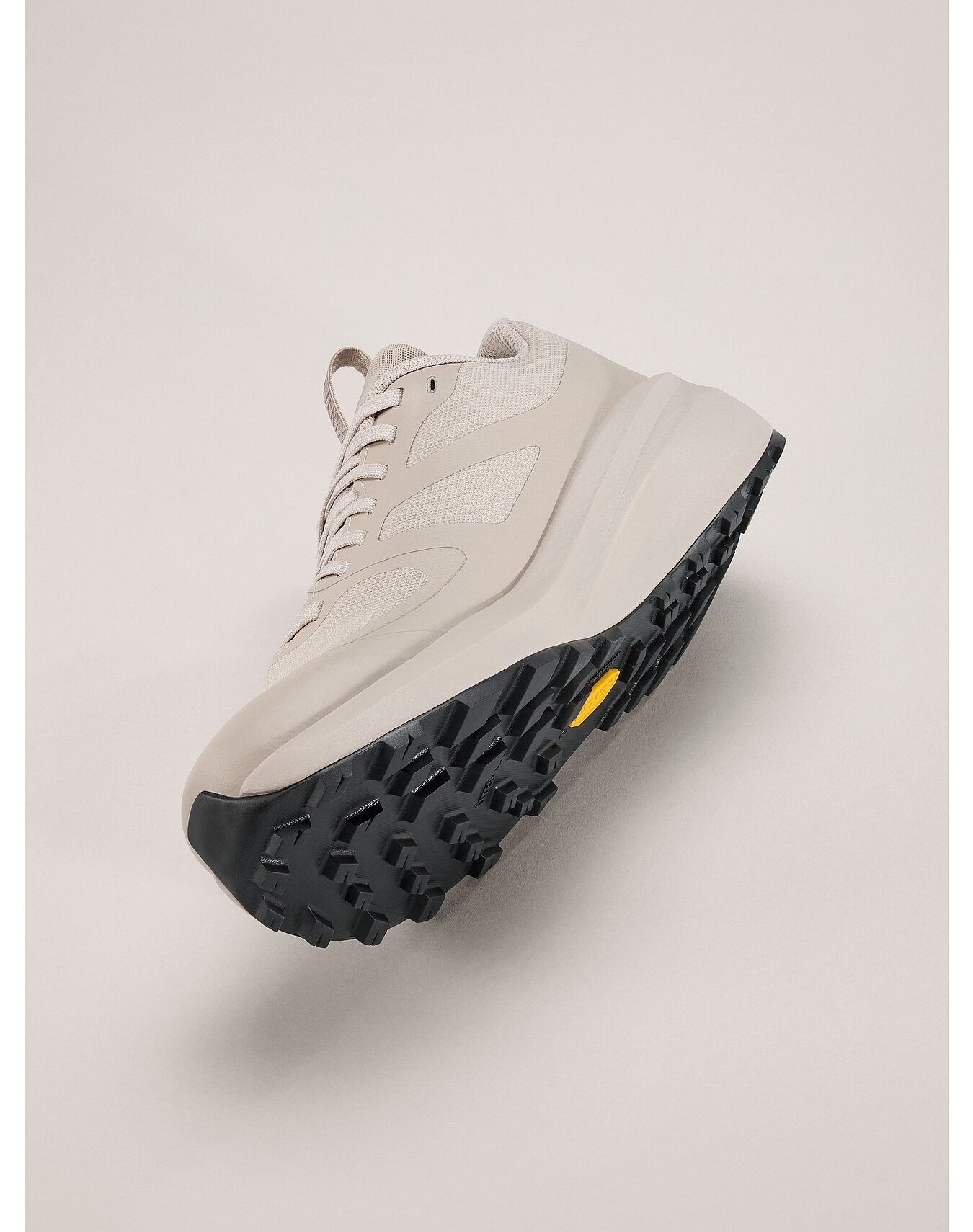 Norvan LD 3 GTX Shoe - 5