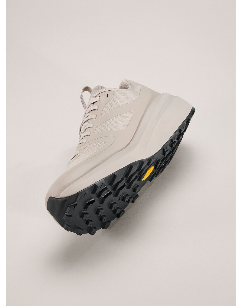 Norvan LD 3 GTX Shoe 5